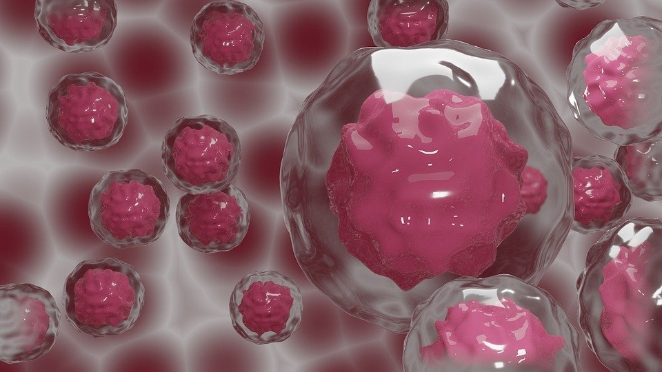 pink cancer cells